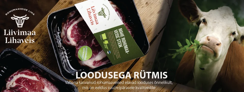 Bännerite kujundamine