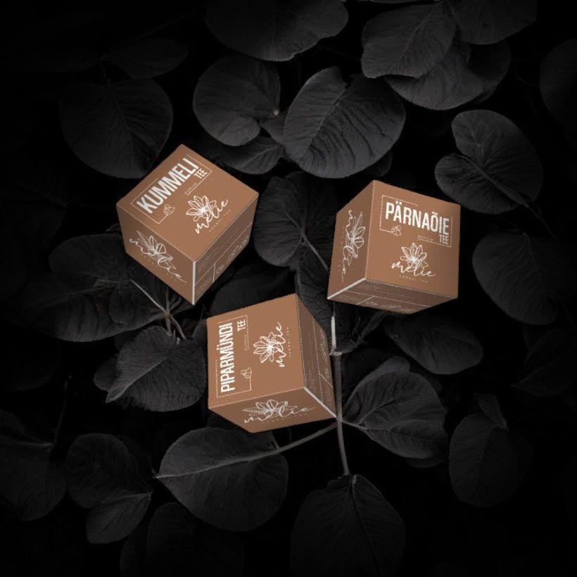 Toote ja pakendi kujundamine